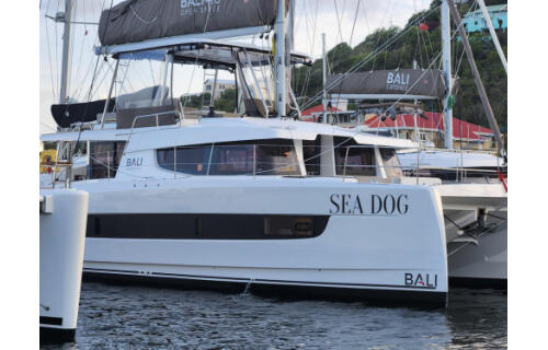 Bali 4.6 Sea Dog