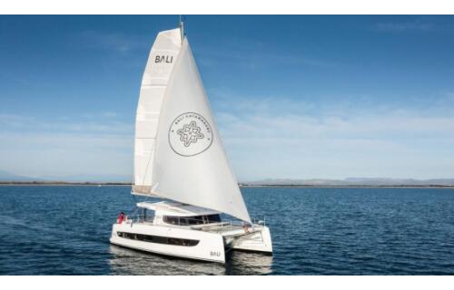 Bali Catsmart Northcat 38