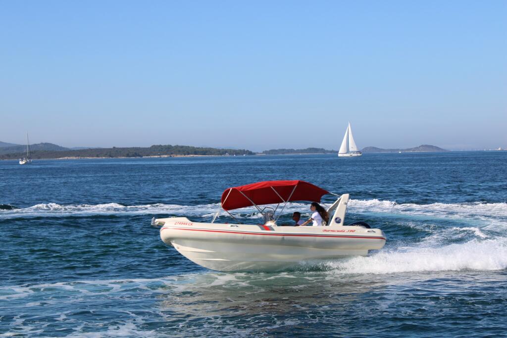 Barracuda 590 Barracuda 590 - 12
