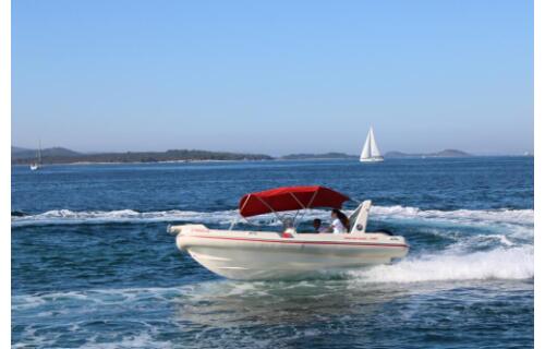 Barracuda 590 Barracuda 590 - 12