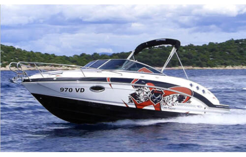 Chaparral 225 SSi Cuddy Triple X