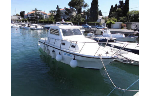 Damor 800 - 1 cab. Zadar