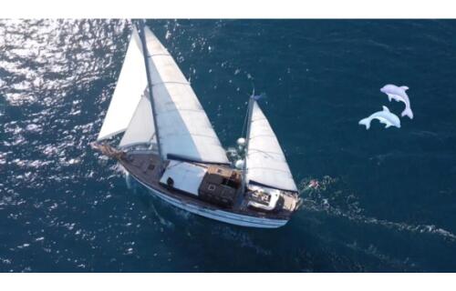 Goletta 20 Oasis