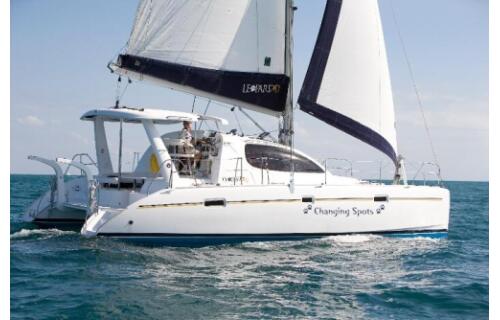 Leopard 40 Panda Joy