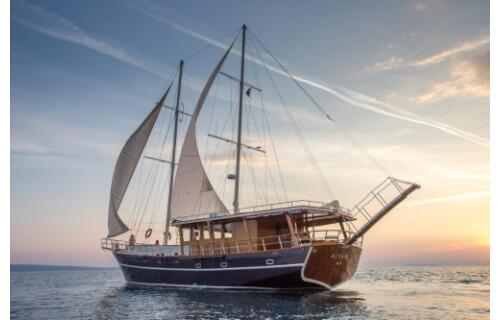M/S Altair Altair