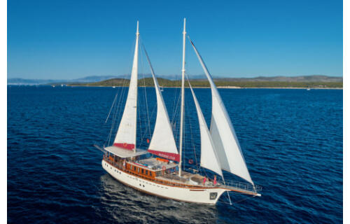 M/S Morning Star Morning Star