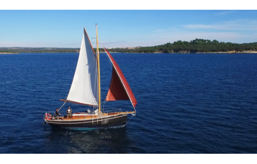 Pilot Cutter Black Bird