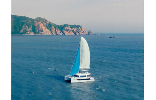 Seaview 50 Tradition