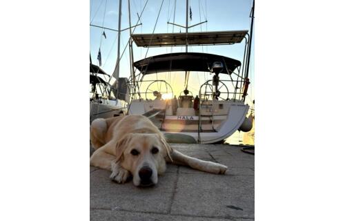 Sun Odyssey 45 Nala
